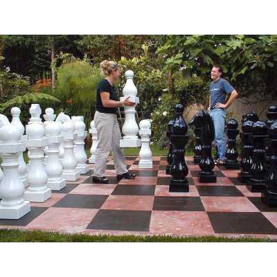 43" Nomi Klein Check Mate Chess Pieces