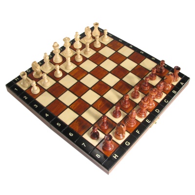 10 1/2" Polish Folding Magnetic Chess Set