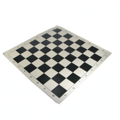 Medium Vinyl Roll-Up Board
