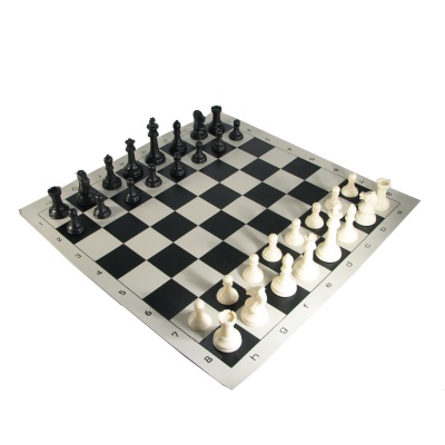 Deluxe Weighted Combination Chess Set