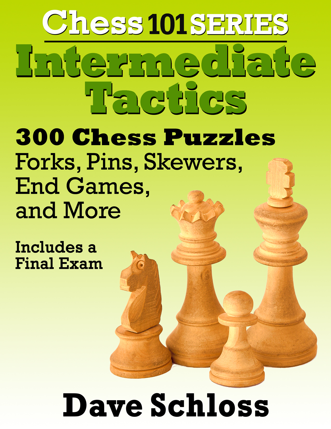 Chess 101 Series: Intermediate Tactics by Dave Schloss