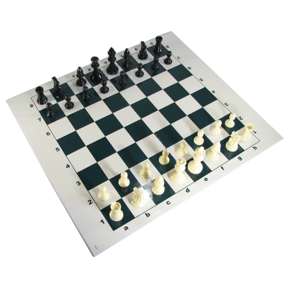 The Chess Teacher Chess Set