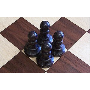 these chess pieces fit perfectly