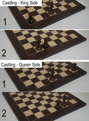 How Does Each Chess Piece Move? - Chessquid