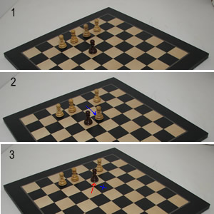 Your Move Chess Games A Quick Summary Of The Rules Of Chess